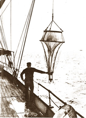 Aan boord van de 'Amsterdam' wordt in 1905 een verticaal vissend net voor plankton uitgezet