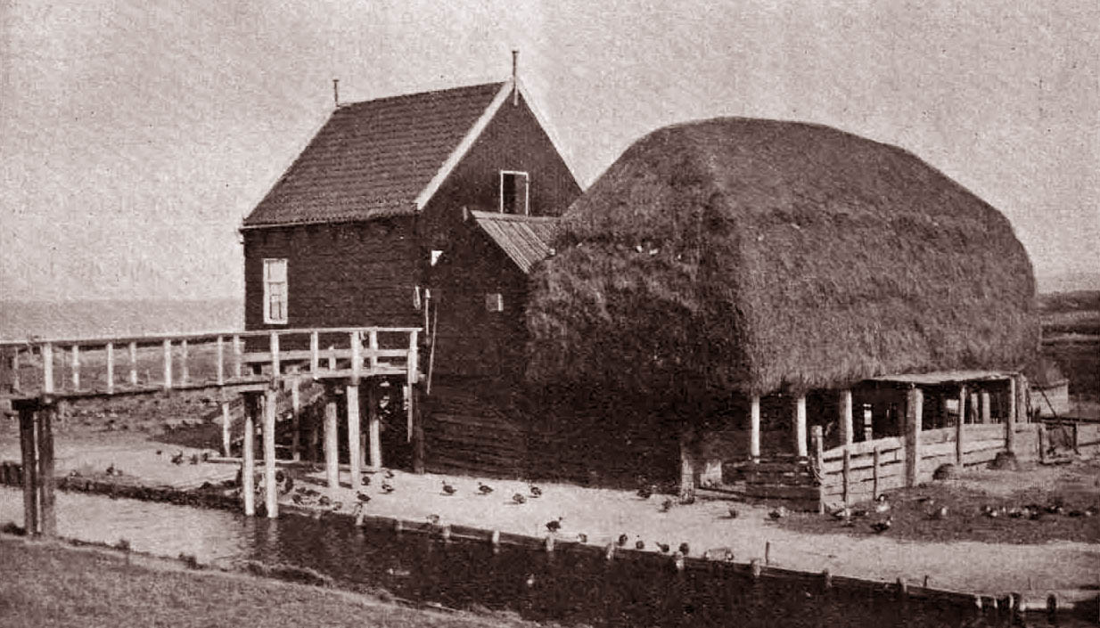 Marken. Eendenfokkerij. Het huis en de hooischelf staan op palen.