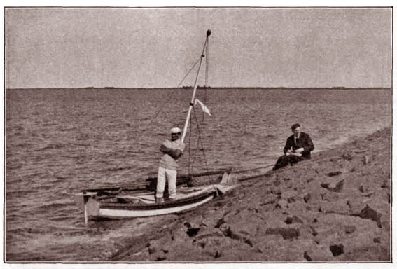 ,,Twijgje&rdquo; aan de Noordelijke Keteldam.