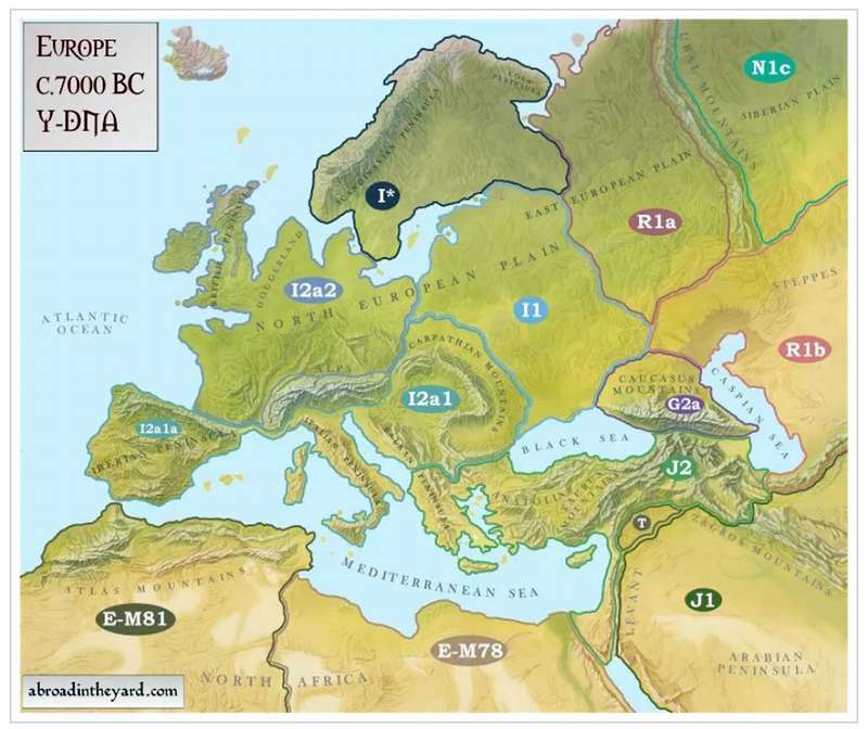 Mannelijke haplogroepen in Europa ten tijde van de Cheddar Man.