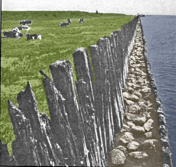 gezicht op het zuiden met een dubbele palenrij langs de westkust van Schokland.