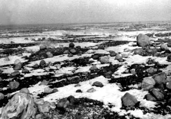 36-Drooggevallen bodem van de Noordoostpolder